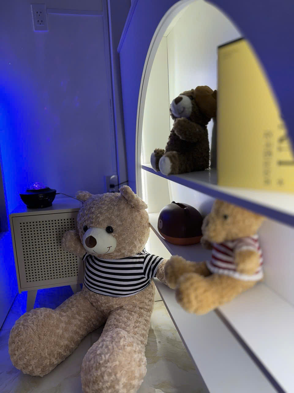Teddy Bear